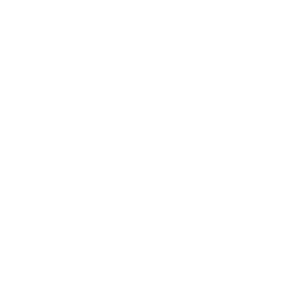 Logo Certification ProFinEthic blanc