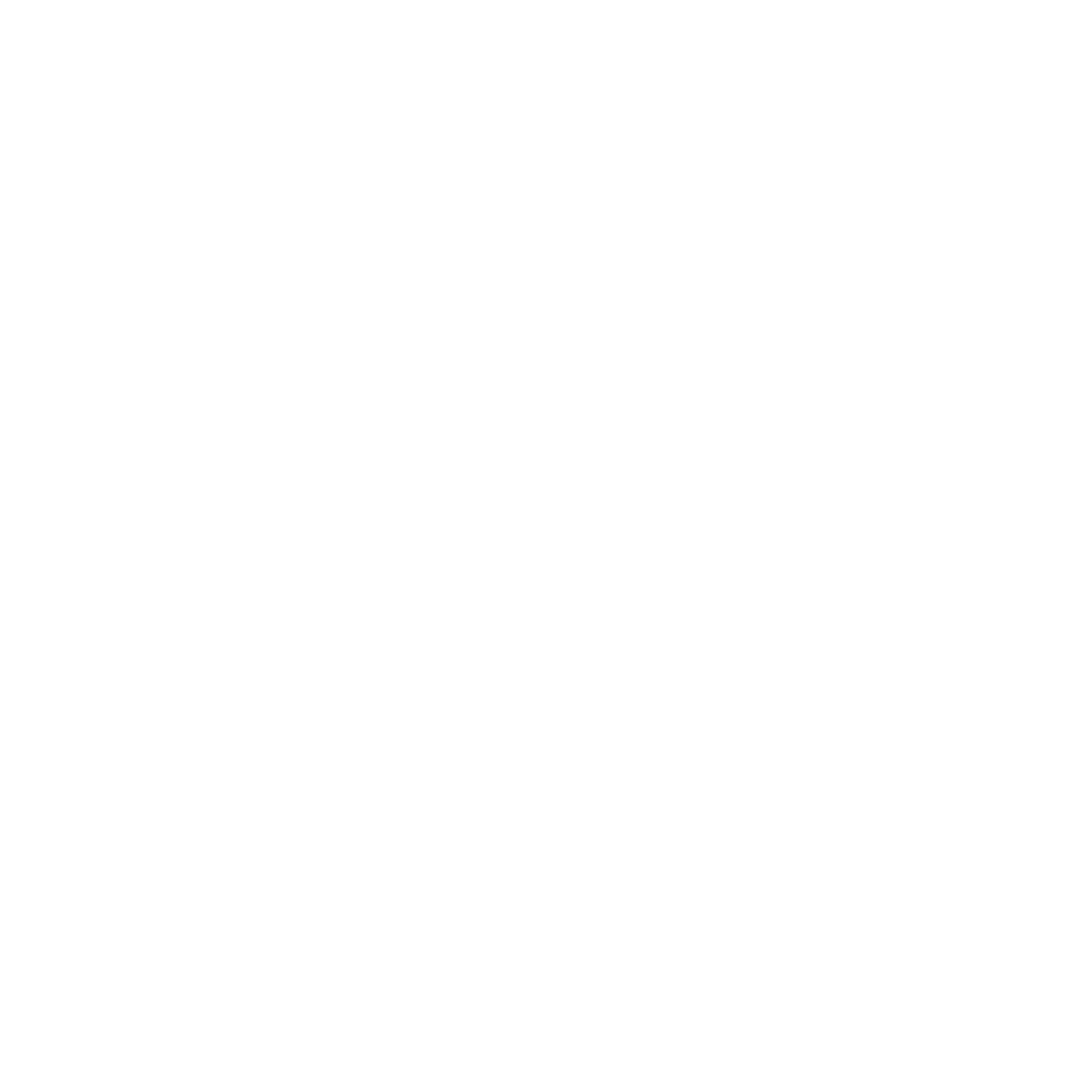Logo ProSpace blanc