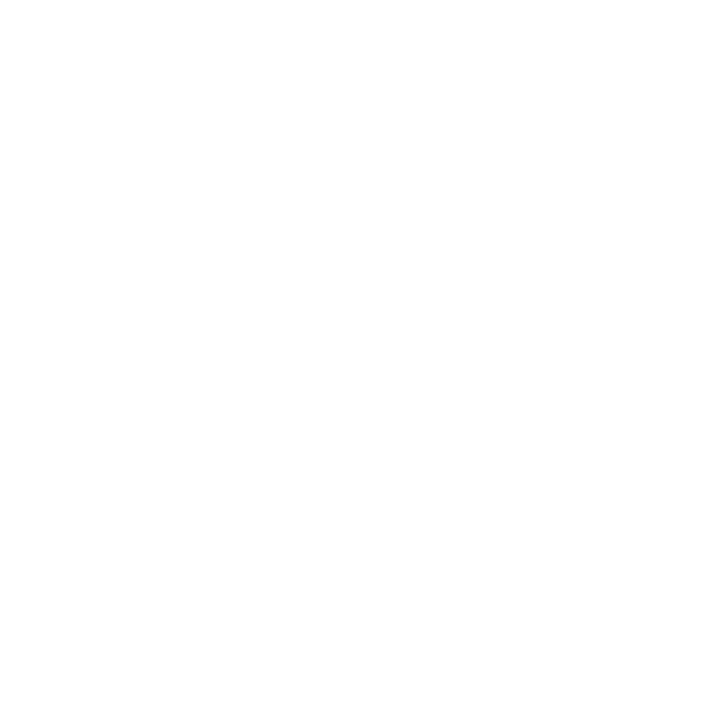 Logo ProTarmac blanc